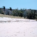 White sand beaches